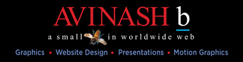 Professional Professional Commercial Artist | Graphic Designer - AVINASH b